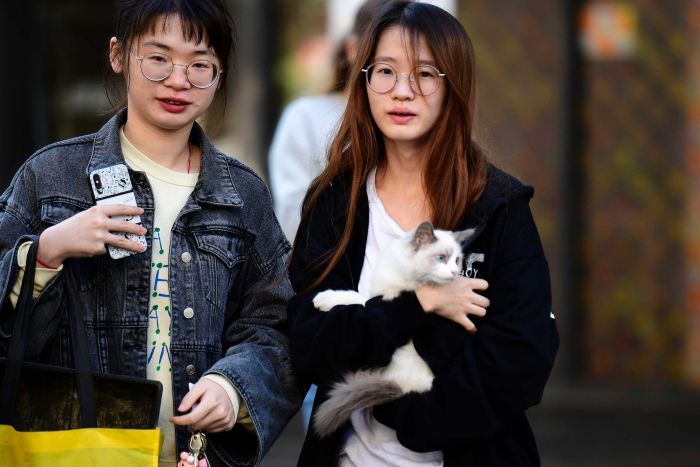 Two women stand outside one is holding a cat